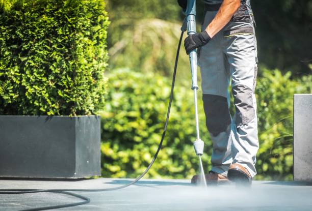 Best Sidewalk and Walkway Cleaning  in St Leo, FL