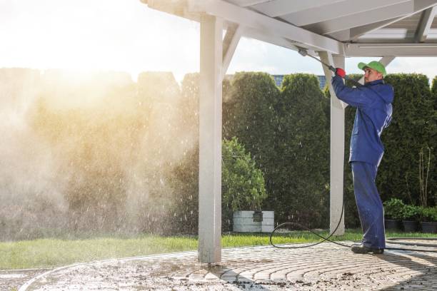 Best Restaurant Pressure Washing  in St Leo, FL