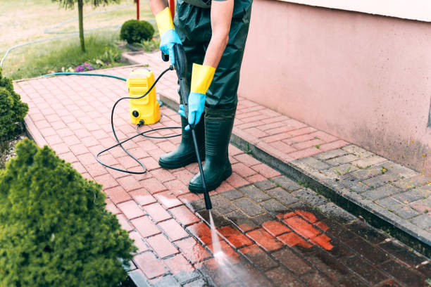 Best Pool Deck Cleaning  in St Leo, FL