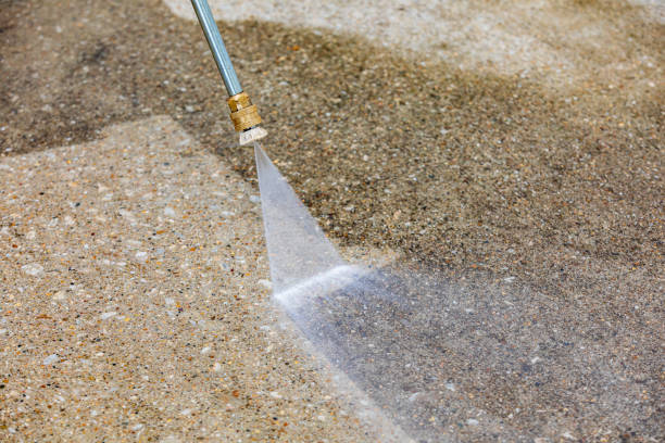 Best Heavy Equipment Washing  in St Leo, FL