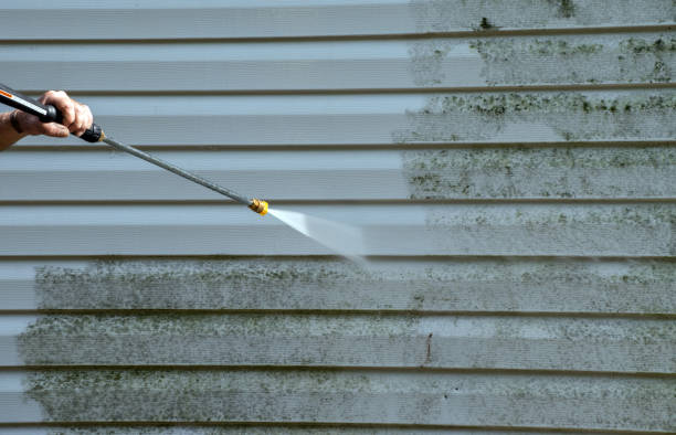 Best House Exterior Washing  in St Leo, FL