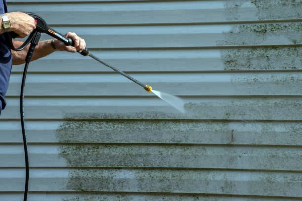 Best Spring Cleaning  in St Leo, FL