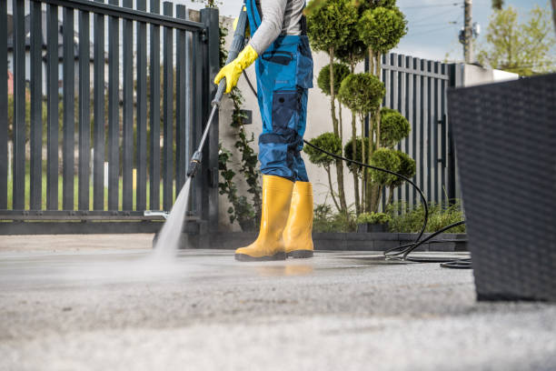Best Patio and Deck Pressure Washing  in St Leo, FL