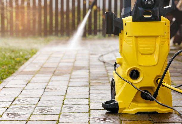 Best Solar Panel Cleaning  in St Leo, FL