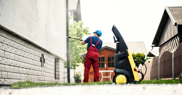 Best Driveway Pressure Washing  in St Leo, FL